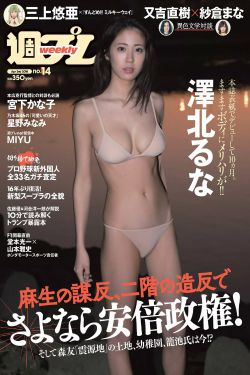 爱的二八定律免费全集电视剧